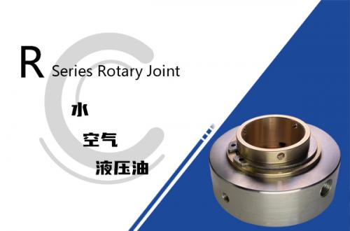 R型貫穿軸安裝旋轉(zhuǎn)接頭